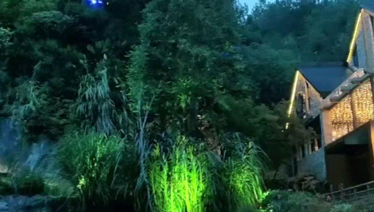 园丁逃生